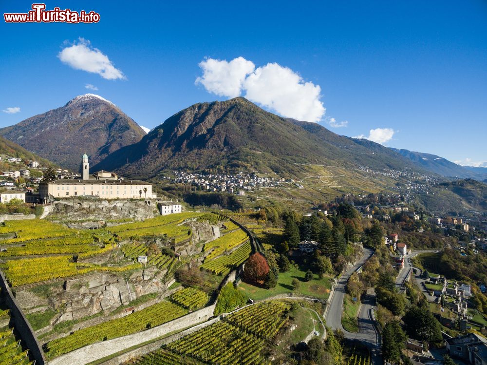 Immagine I tipici vigneti sui terrazzamenti della Valtellina, non lontano da Sondrio