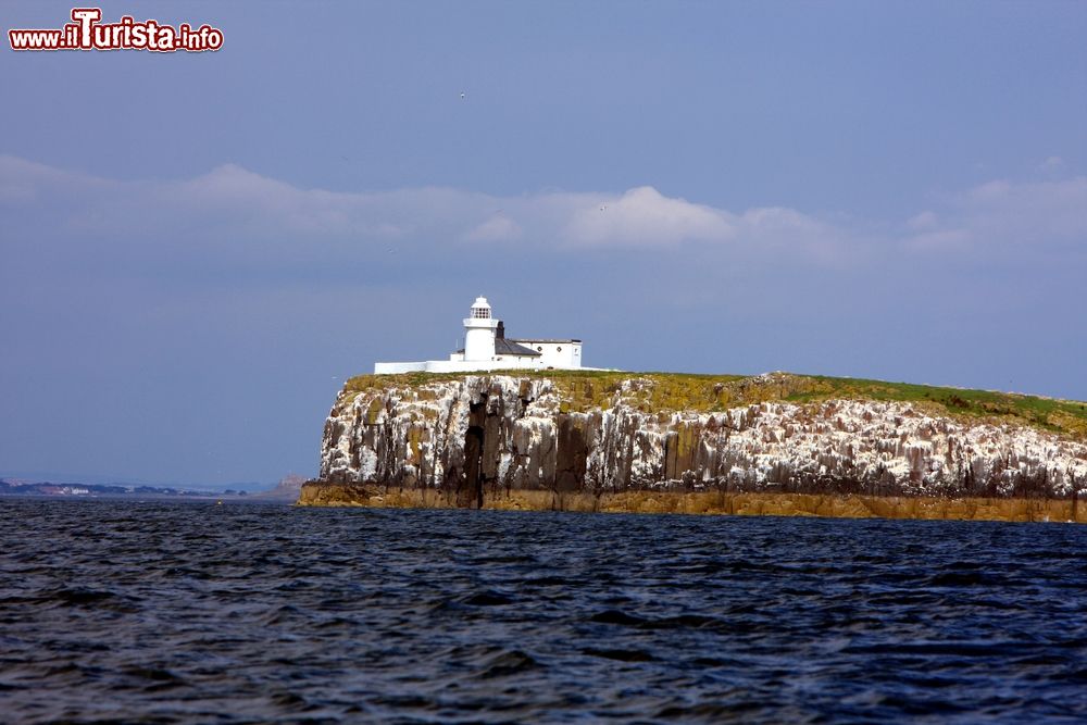 Immagine Il bel faro sull'isola di Inner Farne, Inghilterra. E' una torre in mattoni a pianta circolare dipinta di bianco e sormontata dalla lanterna, la struttura in vetro che protegge l'ottica, e dalla galleria, un ballatoio di servizio. Vicino al faro si trova un cottage ad un piano, un tempo adibito a dimora dei guardiani.