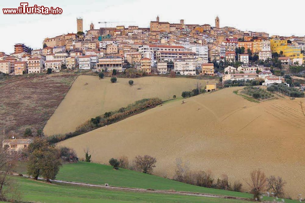 Immagine Il borgo di Montegranaro nelle Marche