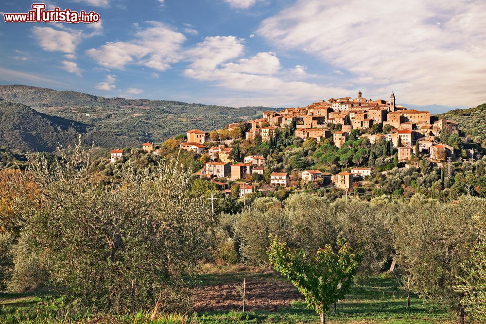 Immagine Il borgo di Seggiano, provincia di Grosseto, sulle pendici del Monte Amiata in Toscana
