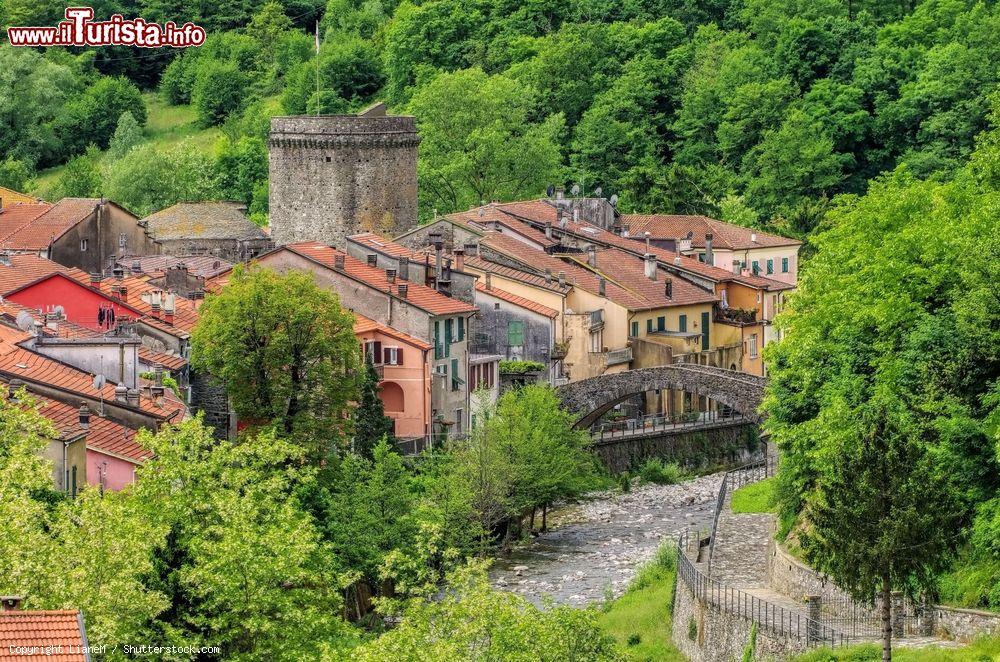 Immagine Il borgo di Varese Ligure visto dall'alto, La Spezia. La nascita di questo villaggio trae le sue origini dalla posizione strategica all'incrocio fra le strade appenniniche fra Parma e Tortona - © LianeM / Shutterstock.com