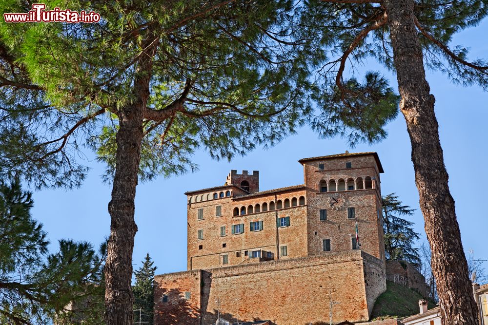 Immagine Il Castello dei Maltesta a Longiano, incorniciato da alcuni pini. Siamo in provincia di Cesena, tra le colline della Romagna