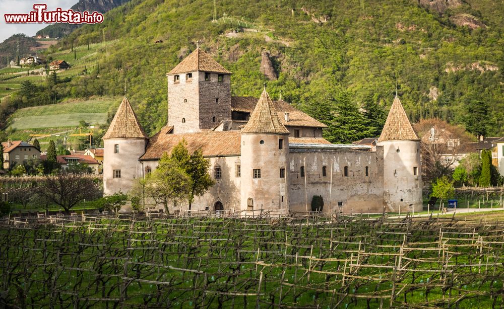 Immagine Il Castello di Mareccio circondato dai vigneti a Bolzano in Alto Adige