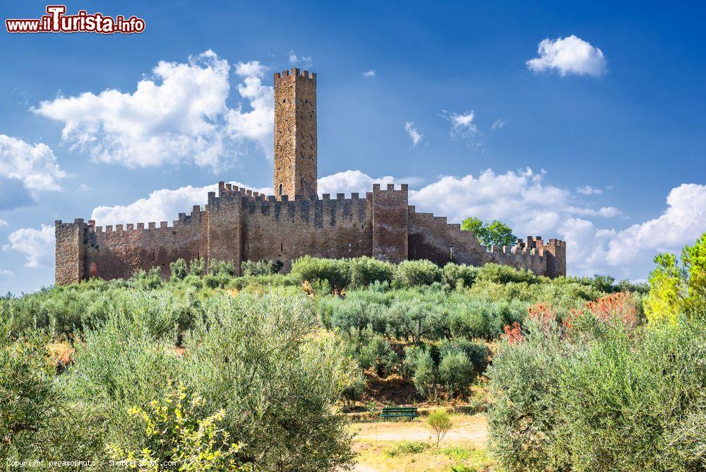 Immagine Il Castello di Montecchio Vesponi a Castiglione Fiorentino in Toscana, provincia di Arezzo - © pegasophoto / Shutterstock.com