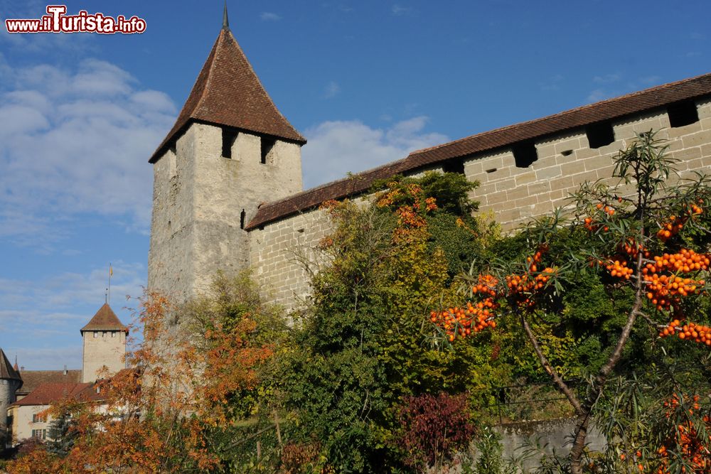 Immagine Il castello di Murten, Svizzera. Ancora quasi intatte le fortificazioni che circondano la città svizzera da cui oggi si ammira uno splendido panorama sui tetti del centro storico e sul vicino lago.