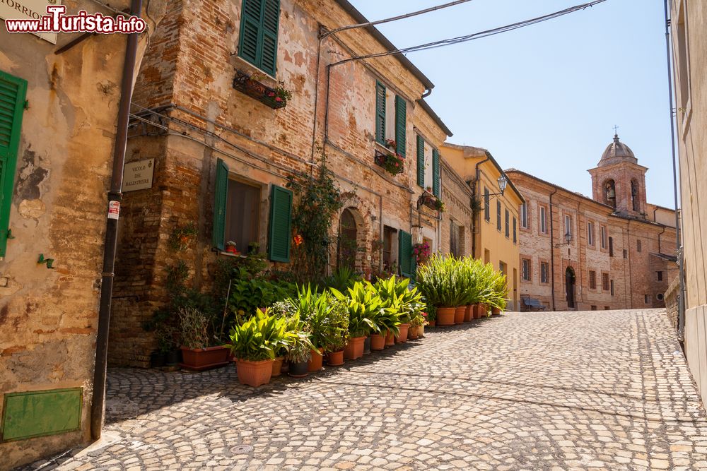 Immagine Il centro storico di Offagna, Ancona, Marche. Fa parte dei borghi più belli d'Italia e dal 2013 vanta anche il riconoscimento di bandiera arancione.