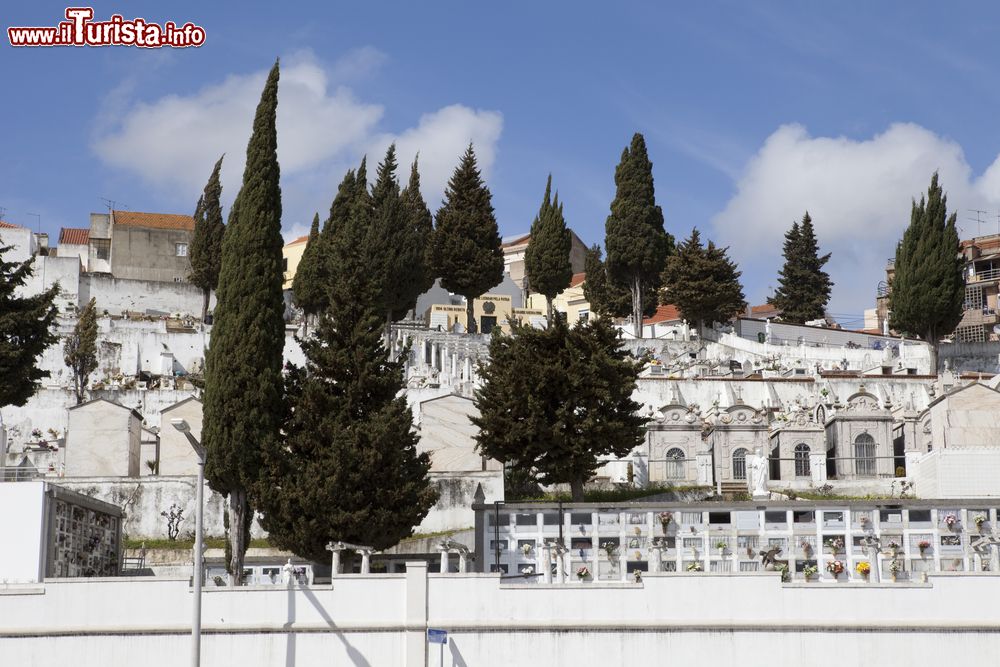 Immagine Il cimitero di Vila Franca de Xira, Portogallo.