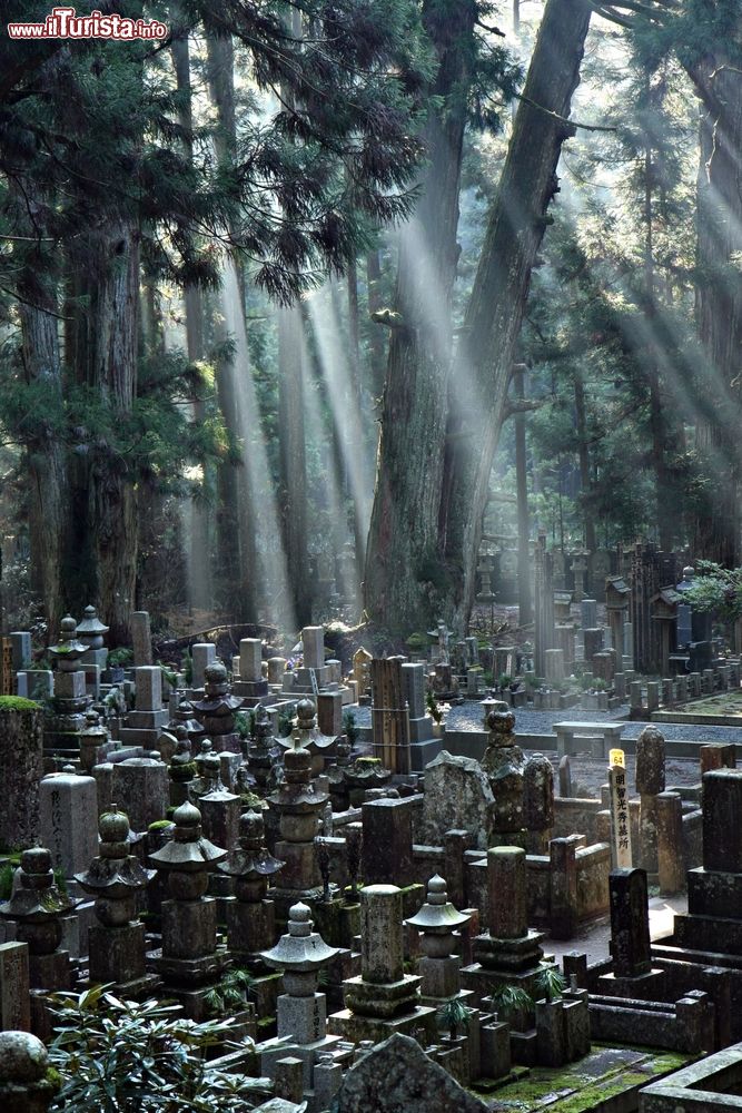 Immagine Il cimitero Okunoin sul monte Koya a Osaka, Giappone.