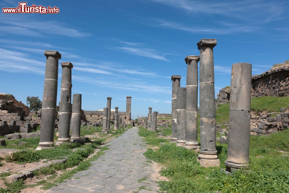 Immagine Il decumano massimo nel sito di Bosra, Siria. Lungo 900 metri da est a ovest, il decumano termina con l'arco nabateo.