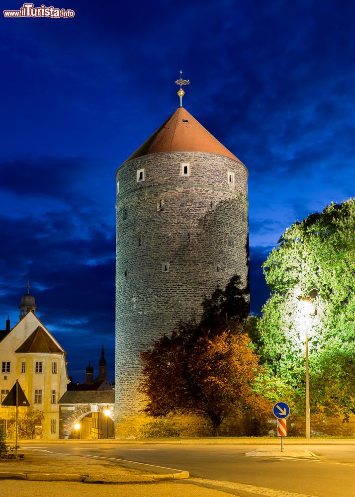 Immagine Il Donatsturm di Freiberg fotografato di sera, Germania. Questa costruzione alta 35 metri e con diametro esterno di poco più di 14 metri, venne realizzata attorno alla metà del XV° secolo. Un tempo era utilizzata come magazzino e deposito per i minerali. Oggi è uno dei monumenti culturali della città oltre che luogo di nidificazione per le taccole, appartenenti alla famiglia Corvidae.