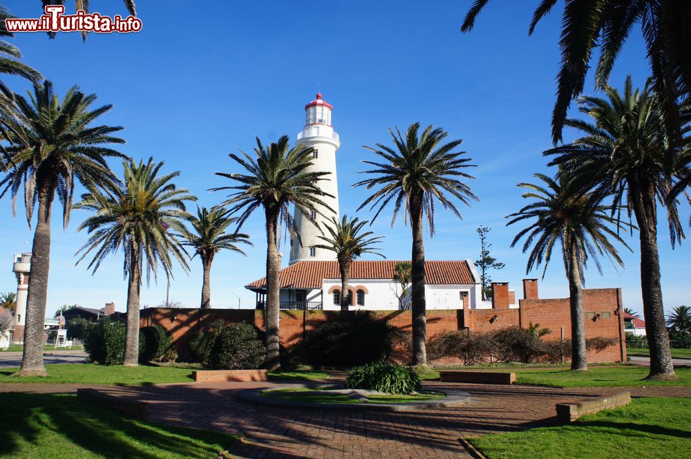 Immagine Il faro bianco di Punta del Este, Uruguay, circondato da palme.