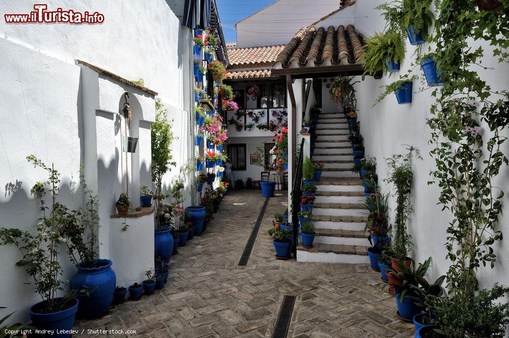 Immagine Il Festival dei cortili ti farà scoprire il carattere esuberante di Cordova, in cui il ritmo flamenco e il profumo di gelsomino e dei fiori d'arancio fanno da cornice. - © Andrey Lebedev / Shutterstock.com