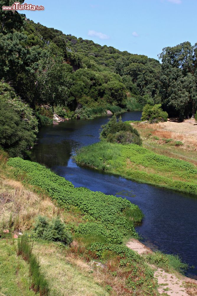 Immagine Il fiume Coghina famoso per le sue terme