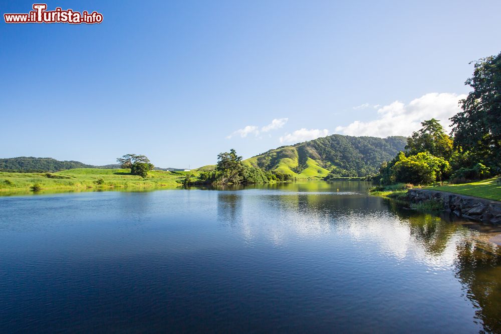 Immagine Il fiume Daintree nei pressi dell'omonima città, Australia. La natura selvaggia e rigogliosa lungo il corso d'acqua di questo parco nazionale nell'estremo nord del Queensland.