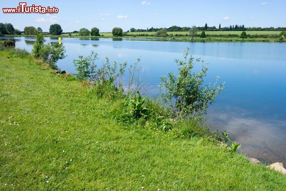 Immagine Il fiume Nene nella città di Peterborough, Cambridgeshire, Regno Unito.