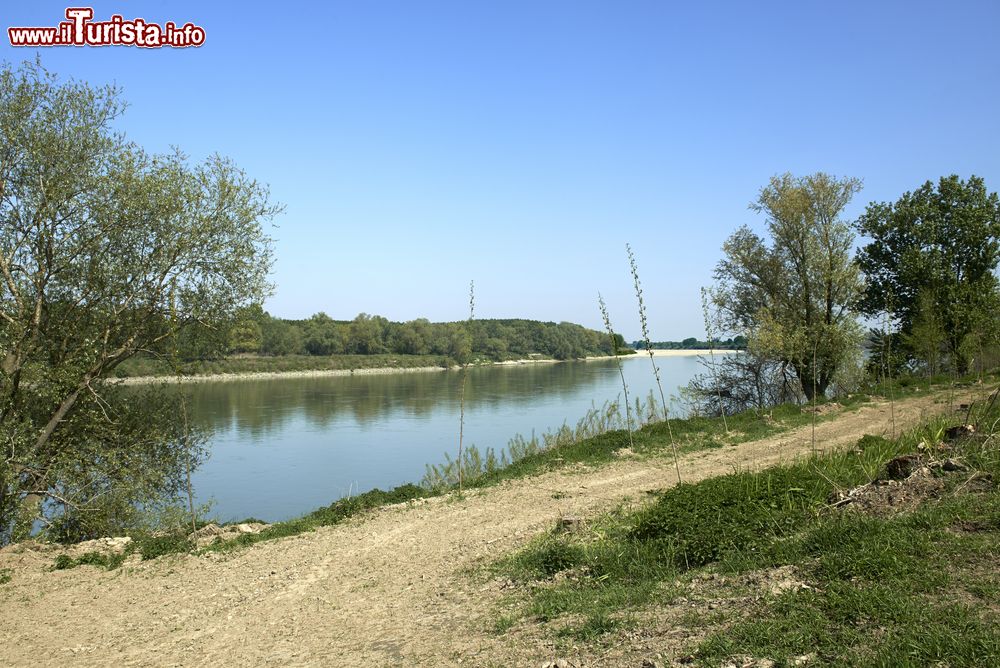 Immagine Il fiume Po nei pressi di Zibello in Emilia-Romagna