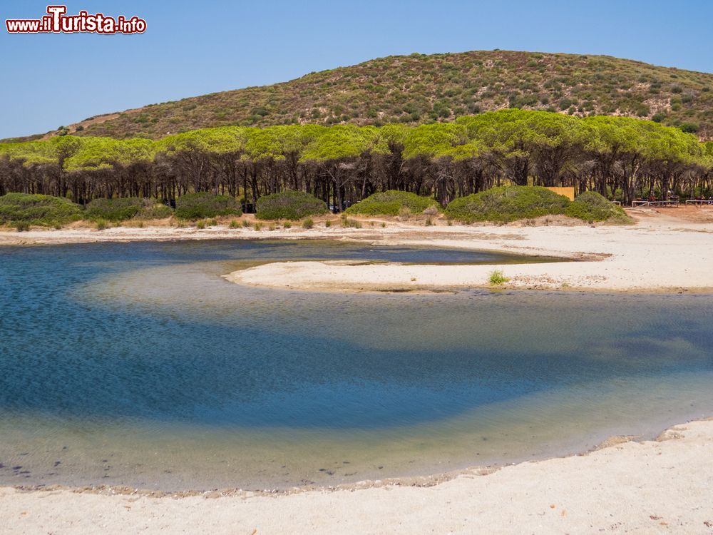 Immagine Il fiume Posada nell'omonimo Comune, Nuoro, Sardegna. Nasce alle pendici della punta di Senalonga nel territorio comunale di Alà dei Sardi.