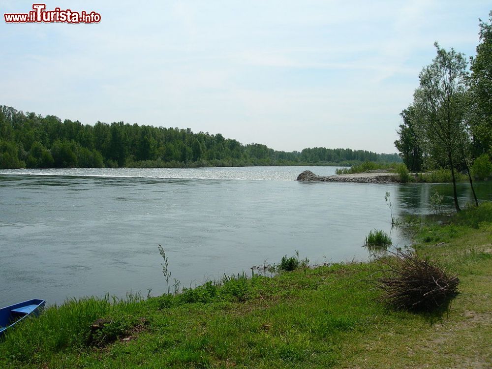 Immagine Il fiume Ticino nei pressi di Cameri in Piemonte - © Pubblico dominio, Wikipedia