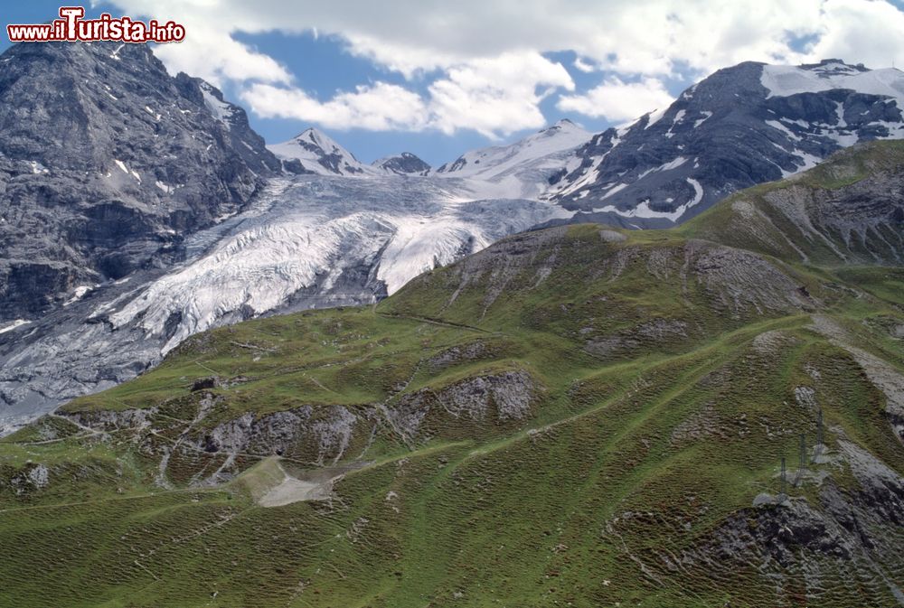 Immagine Il ghiacciaio Ortles visto dal Passo dello Stelvio, nord Italia. E' una delle montagne più imponenti delle Alpi Retiche meridionali.