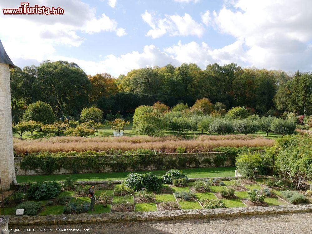 Immagine Il giardino alla francese del castello di Rivau a Lémeré, Francia. Edificato nel XV° secolo, il castello venne successivamente adibito a scopi domestici in epoca rinascimentale - © LACROIX CHRISTINE / Shutterstock.com