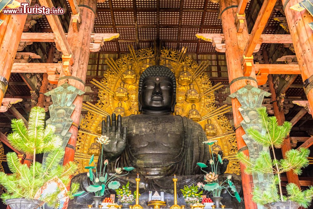 Immagine Il Grande Buddha (Daibutsu-Den) al Todai-ji Temple di Nara, Giappone.