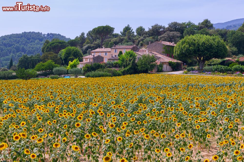 Immagine Il grazioso villaggio con chiesa di Bonnieux in Provenza, Francia. Le sue possenti mura, le chiesette antiche e le caratteristiche stradine lo rendono uno dei borghi più pittoreschi della Francia.