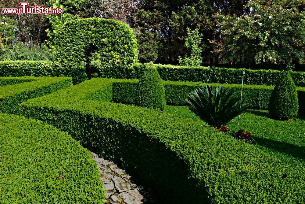 Immagine Il Labirinto del Giardino Botanico di Giuggianello nel Salento, Puglia