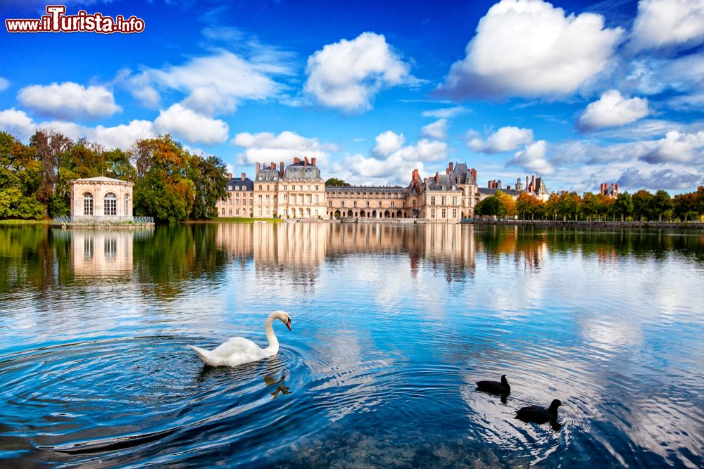 Immagine Il lago dei cigni davanti al castello di Fontainebleau, Francia.