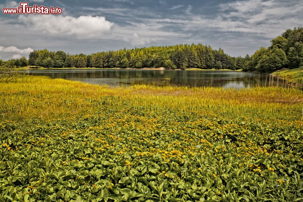 Immagine Il lago di Calamone o del Monte Ventasso a Ramiseto, Emilia-Romagna