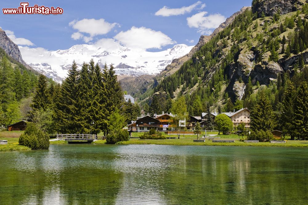 Immagine Il lago Gover a Gressoney- Saint-Jean e il Monte Rosa sullo sfondo (Valle d'Aosta).