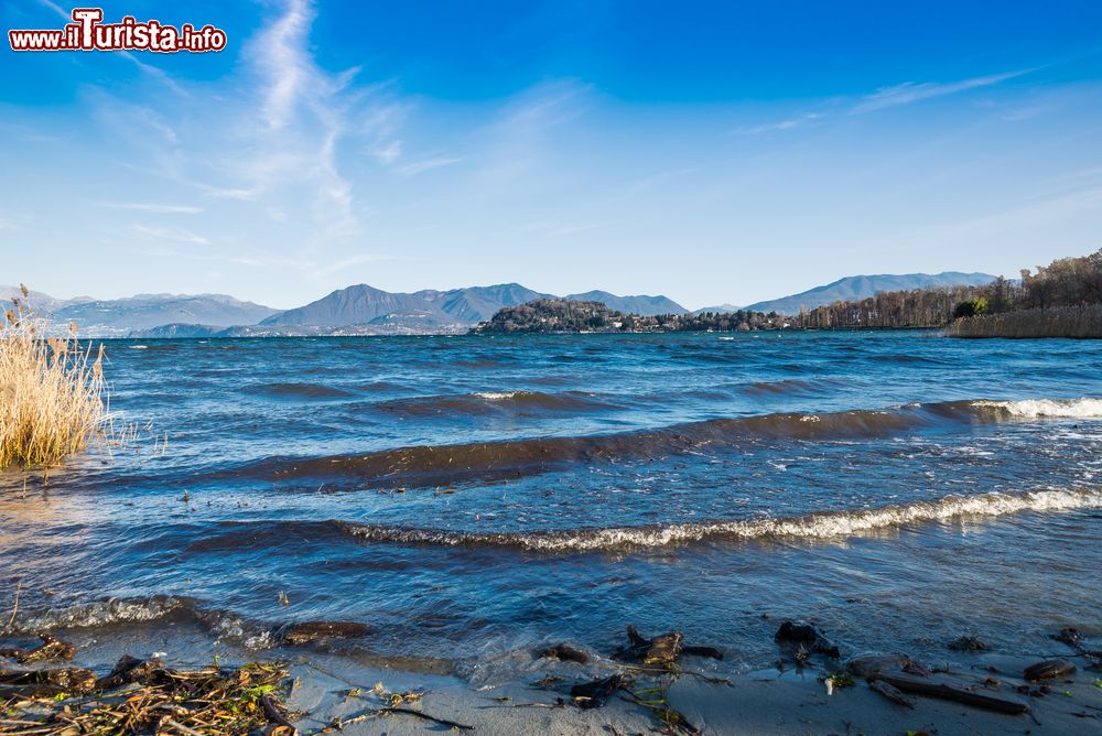 Immagine Il Lago Maggiore e sullo sfondo Ispra, provincia di Varese