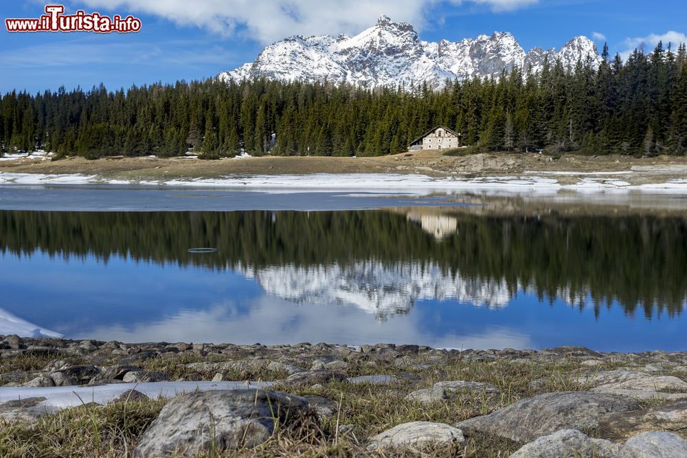 Immagine Il lago Palu in Valtellina sulle Alpi in primavera, provincia di Sondrio