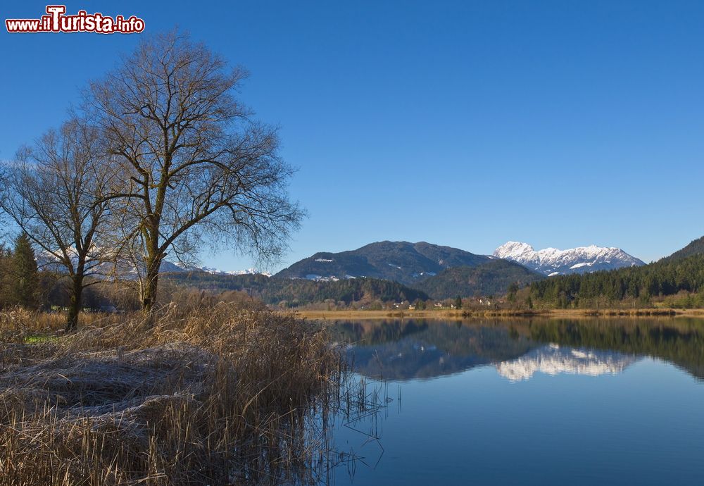 Immagine Il lago Pressegger in Carinzia, Hermagor, Austria. E' uno dei laghi più caldi d'Austria (raggiunge i 28° di temperatura), motivo per cui la stagione di balneazione si inaugura molto presto.