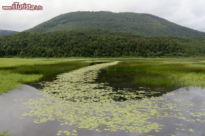 Immagine Il lago temporaneo di Cerknica, Slovenia - Conosciuto in italiano anche come palude Lugea, il lago Circonio è situato in una conca pianeggiante, caratterizzata da un terreno impermeabile, compresa fra la catena montuosa del monte Pomario e quella del monte delle Streghe. Essendo uno specchio d'acqua stagionale le precipitazioni ne determinano il volume: quando è pieno è il maggior lago della Slovenia per estensione con una superficie di 38 km quadrati. La profondità può raggiungere i dieci metri anche se quella media è di 1 solo metro per via delle irregolarità del volume © AAR Studio / Shutterstock.com