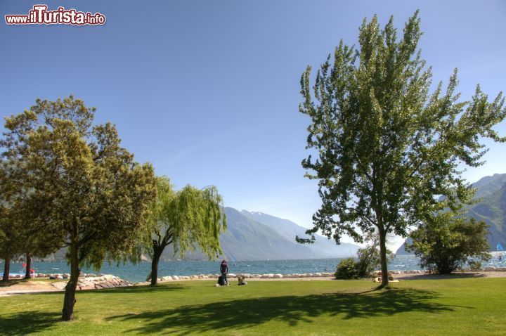 Immagine Il lungolago alberato di Riva del Garda, Trentino Alto Adige - © 141808930 / Shutterstock.com