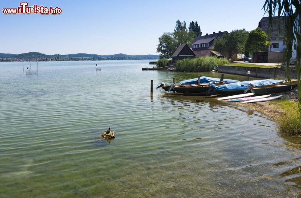 Immagine Il lungolago nei pressi di Niederzell sull'isola di Reichenau, Germania. Assieme a Oberzell e Mittelzell, Niederzell è ciò che rimane degli antichi villaggi di un tempo. La frazione di Niederzell è quella che conta meno abitanti.