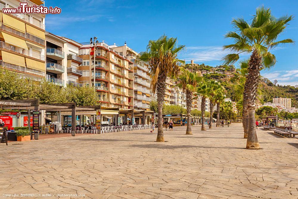 Immagine Il lungomare a Blanes, Costa Brava, Spagna. Un'ampia passeggiata con palme collega ristoranti e locali alla spiaggia della città - © BAHDANOVICH ALENA / Shutterstock.com