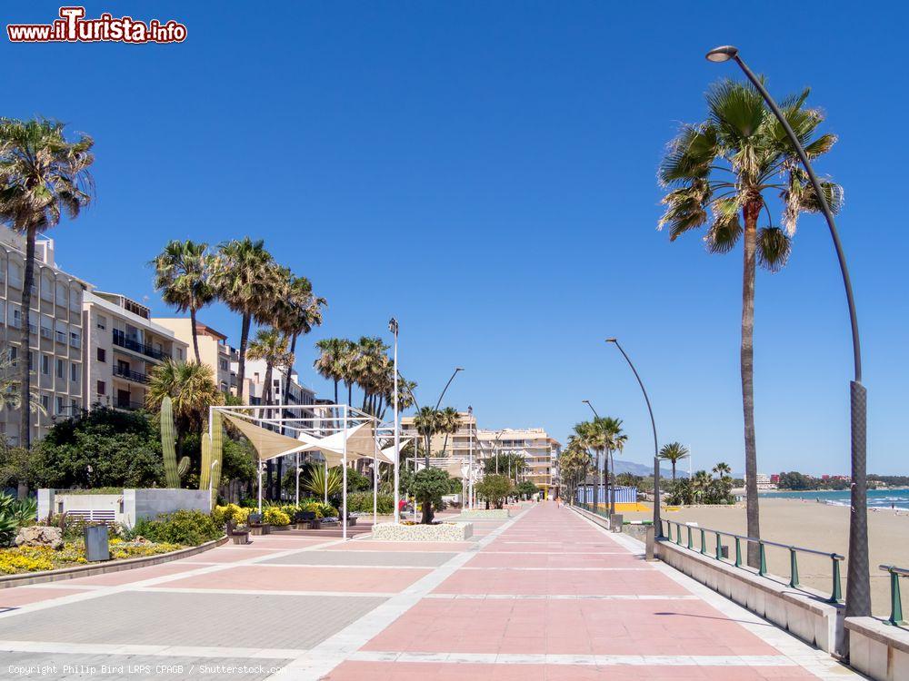 Immagine Il lungomare di Estepona, Spagna, in una giornata estiva. Alberi da palma e aiuole rendono questo tratto di litorale ideale per una passeggiata rilassante - © Philip Bird LRPS CPAGB / Shutterstock.com