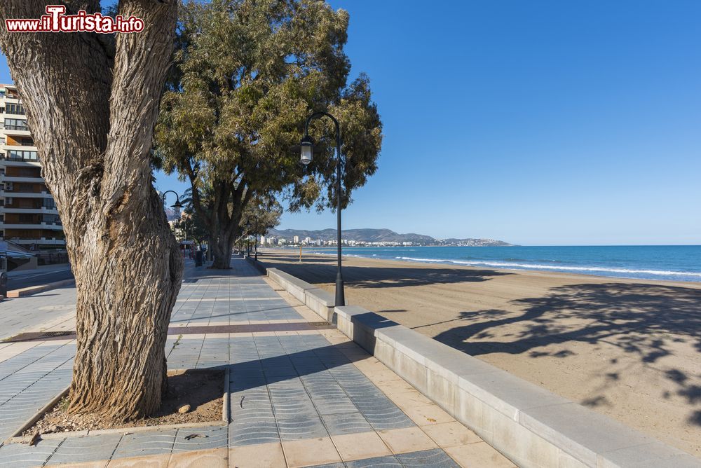 Immagine Il lungomare e la spiaggia di Benicassim, Spagna. Questa graziosa cittadina bagnata dal Mar Mediterraneo è situata 80 km a nord di Valencia. Sul suo bel lungomare si affacciano hotel, ristoranti e camping.