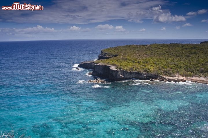 Immagine Il mare cristallino dell'isola di Guadalupe (Guadeloupe) una meta turistica che fa parte dei Territori d'Oltre Mare della Francia - © julian elliott / Shutterstock.com