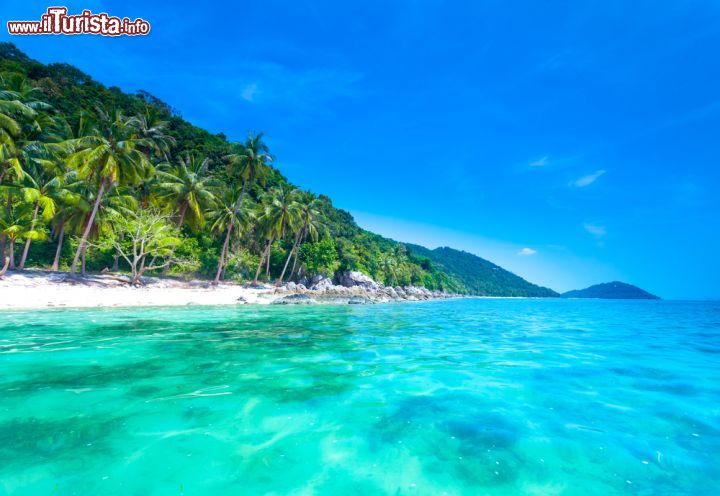 Immagine il mare cristallino di Koh Samui in Thailandia - © Volodymyr Goinyk / Shutterstock.com