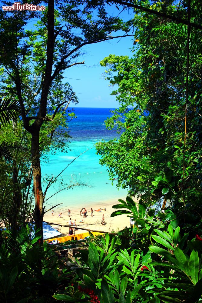 Immagine Il mare dei Caraibi che lambisce Ocho Rios, Giamaica, visto attraverso la vegetazione lussureggiante che caratterizza l'isola.