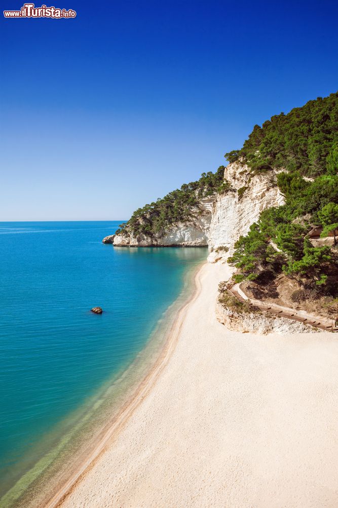 Immagine Il mare limpido del Gargano a Baia delle Zagare in Puglia