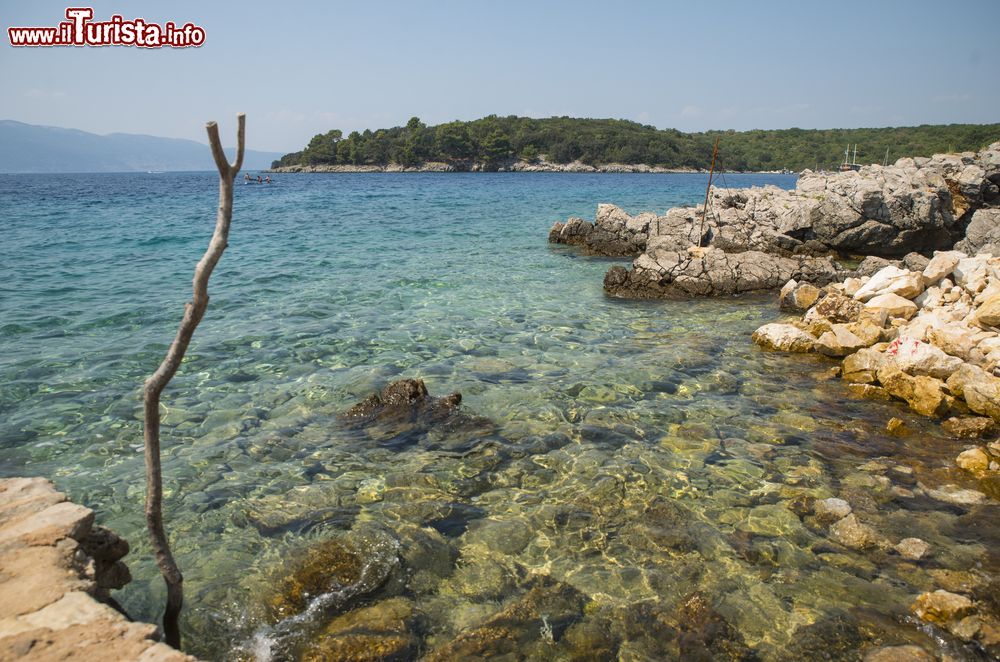 Immagine Il mare limpido di Krk isola di Veglia, Croazia