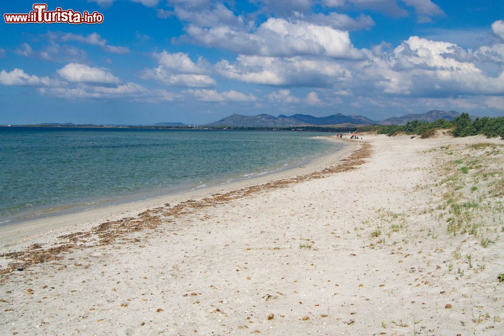 Immagine Il mare limpido di Masainas,siamo nella spiaggia di Is Solinas in Sardegna