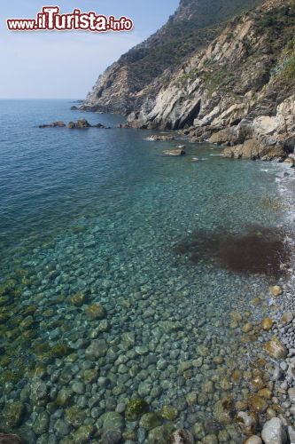 Immagine Il mare limpido di una caletta nei pressi di Moneglia