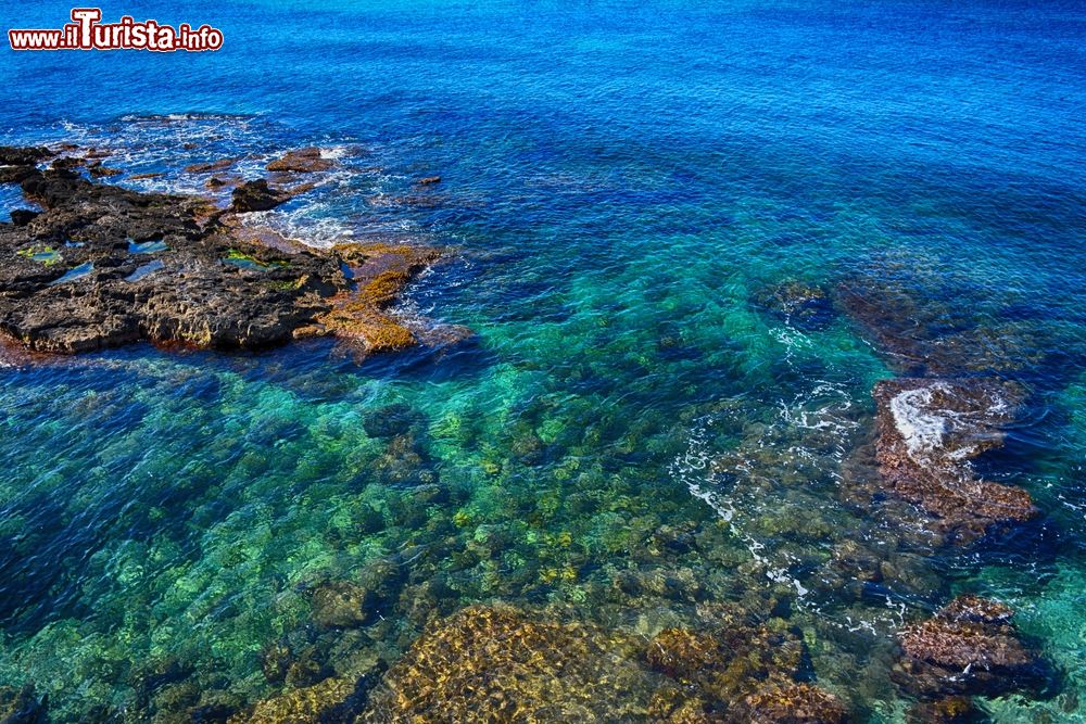 Immagine Il mare limpido e cristallino di Alghero, Sardegna. Siamo nella parte nord-occidentale dell'isola: qui il paesaggio offre degli scorci naturali di rara bellezza.