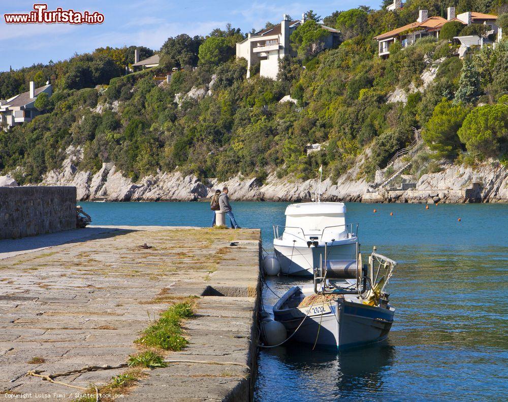 Immagine Il molo del porticciolo di Duino, Provincia di Trieste - © Luisa Fumi / Shutterstock.com