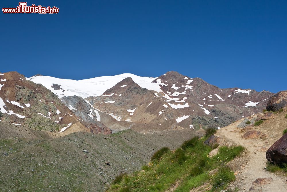 Immagine Il monte Cevedale fotografato da un prato della valle di Pejo, Parco Nazionale dello Stelvio, Trentino Alto Adige. Si trova nelle Alpi Retiche meridionali ed la terza vetta più alta del massiccio Ortles-Cevedale dopo l'Ortles e il Gran Zebrù con i suoi 3.769 metri di altezza.