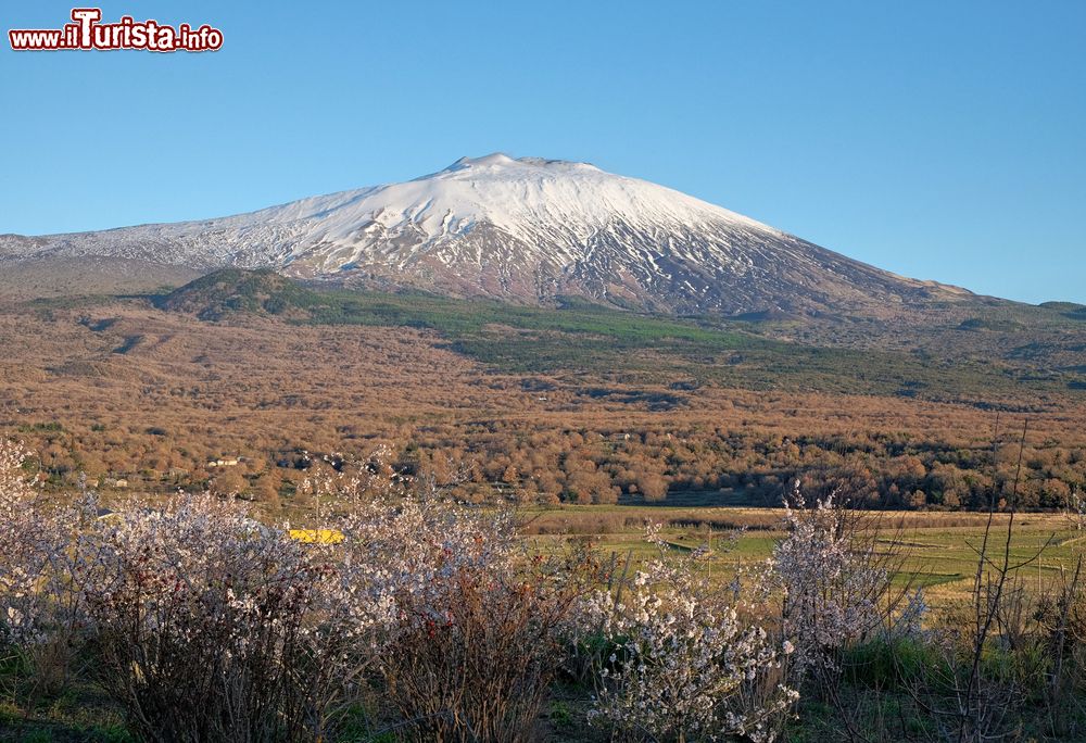 Immagine Il Monte Etna fotografato dalla campagne di Maletto in Sicilia